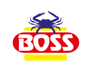BOSS LOGO