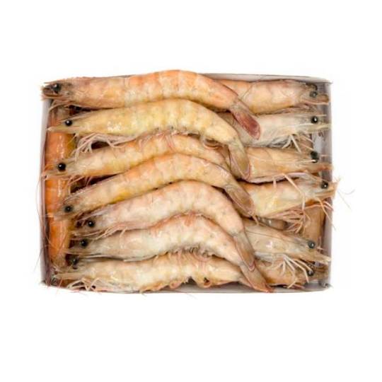 Langostino (Dendrobranchiata)