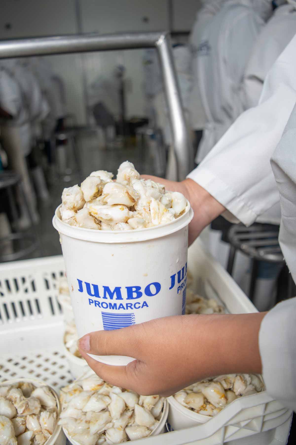 quienes-somos-promarca